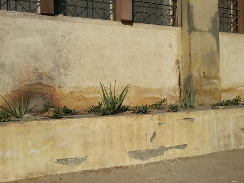 Fichier:200mur03.jpg