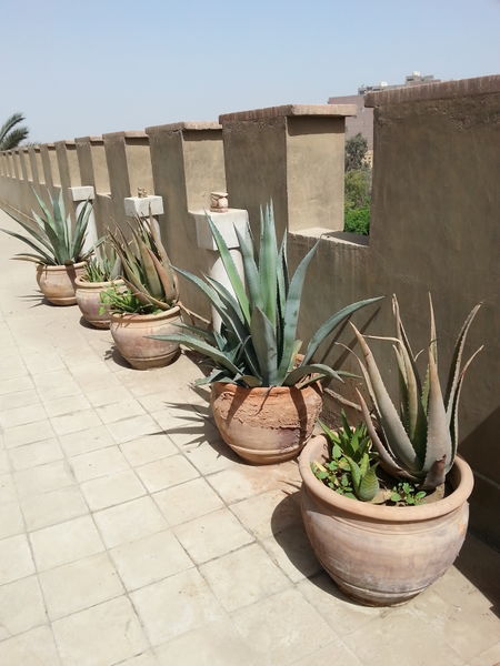 Fichier:Terrasse04.jpg
