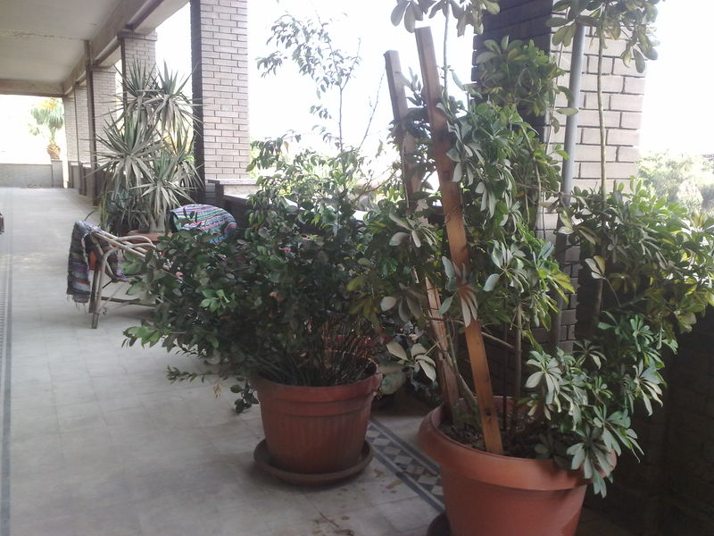 Fichier:Balcon01.jpg