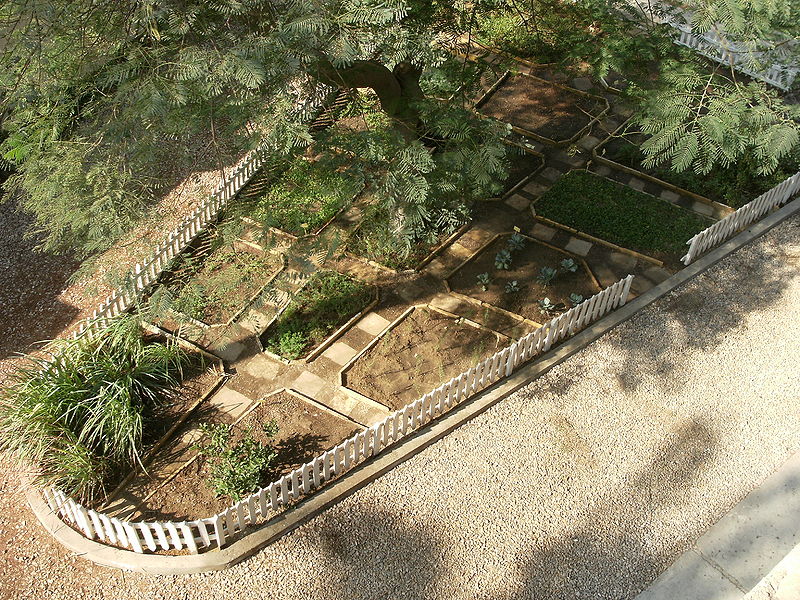 Fichier:Triangles02.jpg