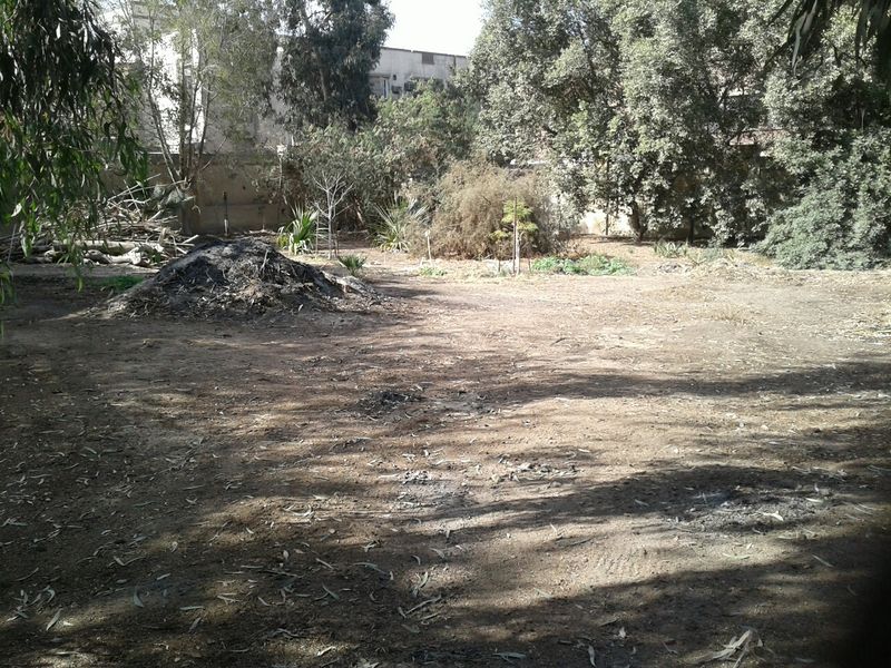 Fichier:Campscout09.jpg
