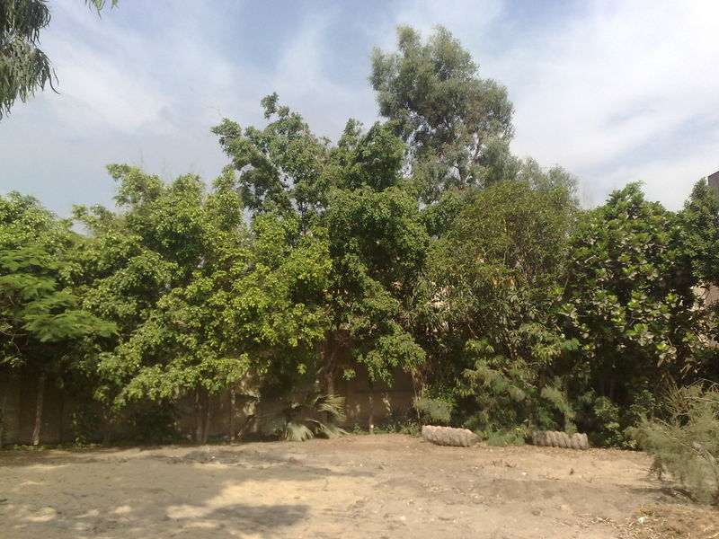 Fichier:Campscout01.jpg